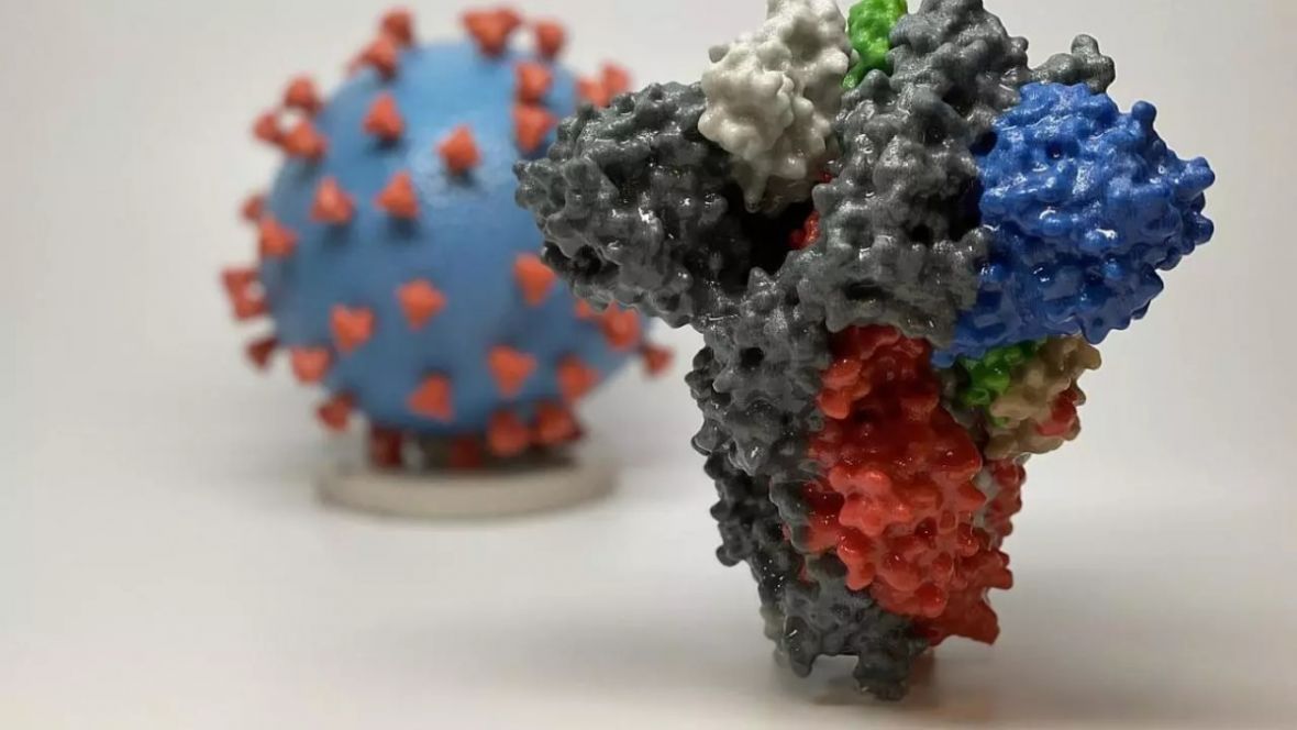 Šta donose mutacije virusa - undefined