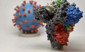 Foto: France24 / Šta donose mutacije virusa