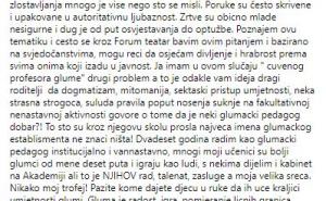 Screenshot / Podrška Mileni Radulović