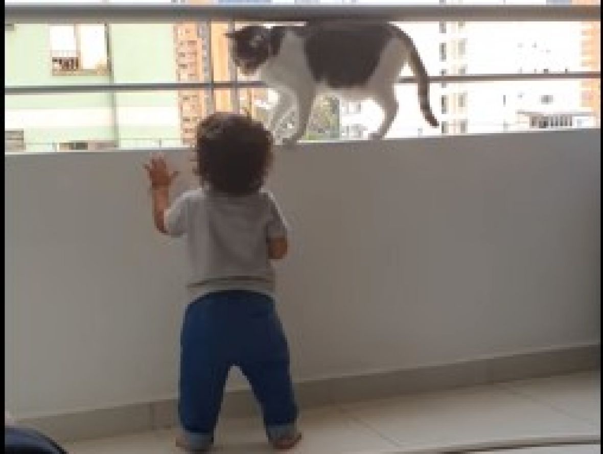 Foto: Prtscr/Youtube/Mačka i dijete