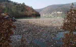 Foto: Dž. K. / Radiosarajevo.ba / Tone otpada i danas plutaju Drinom