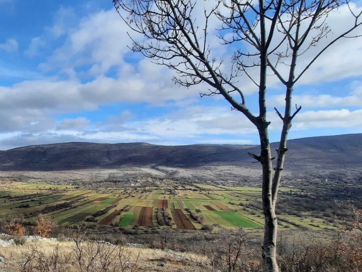 Akcija čišćenja u Ljubinju - undefined