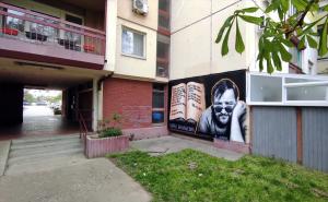 FOTO: AA / Mural Balaševića u Novom Sadu