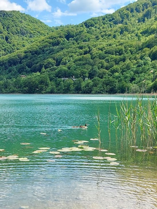 Foto: F. Vele/ Uživajte u proljeću na Boračkom jezeru