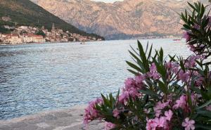 Radiosarajevo.ba / Perast 