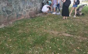Radiosarajevo.ba / Građani spašavali patke