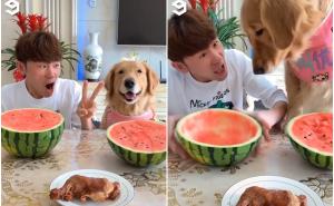 Foto: Facebook/Barked9GAG / Zanimljiv izazov za pse ali i vlasnike