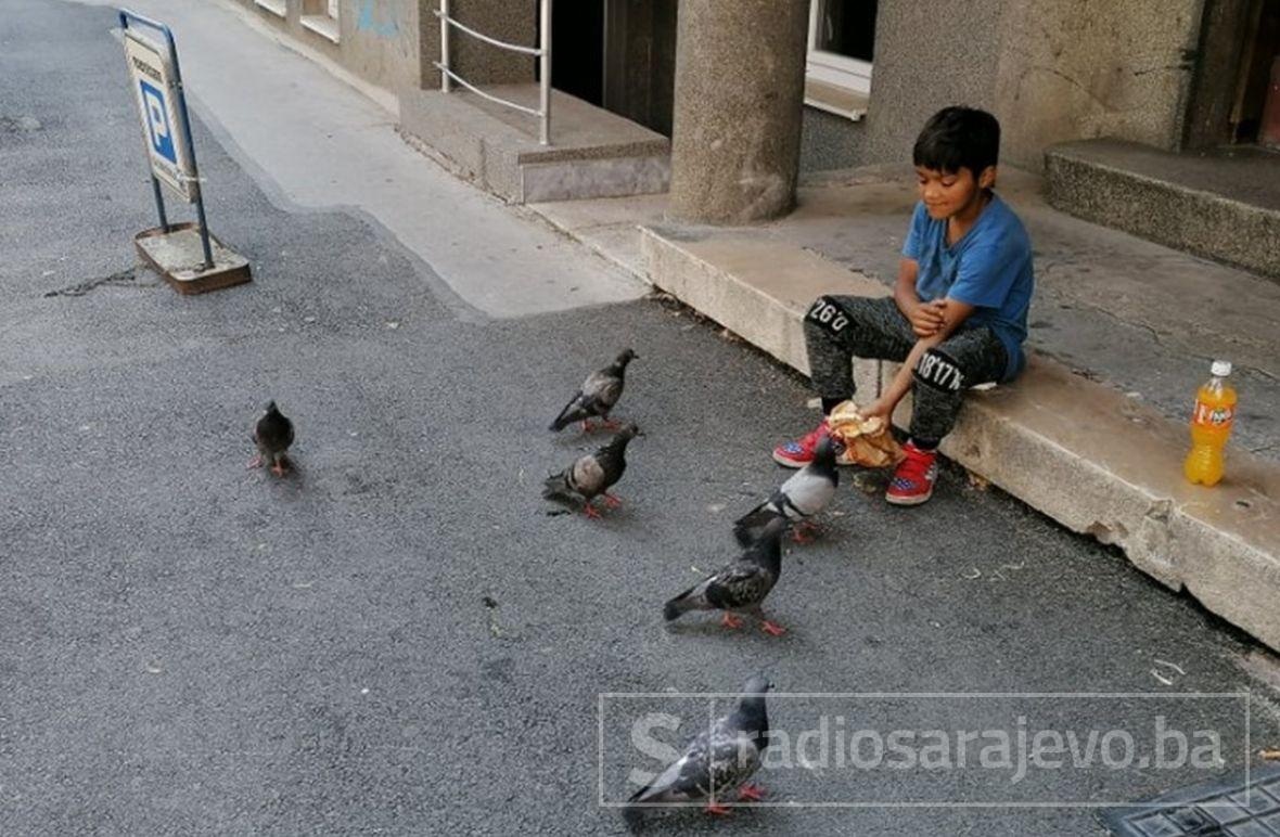 FOTO: Radiosarajevo.ba/Dječak u Sarajevu hrani golubove 