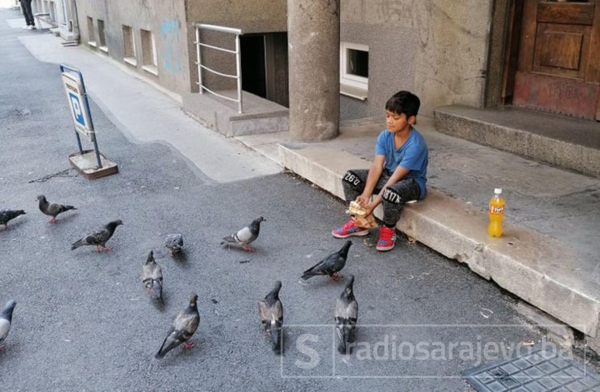 FOTO: Radiosarajevo.ba/Dječak hrani golubove 