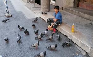FOTO: Radiosarajevo.ba / Dječak hrani golubove 