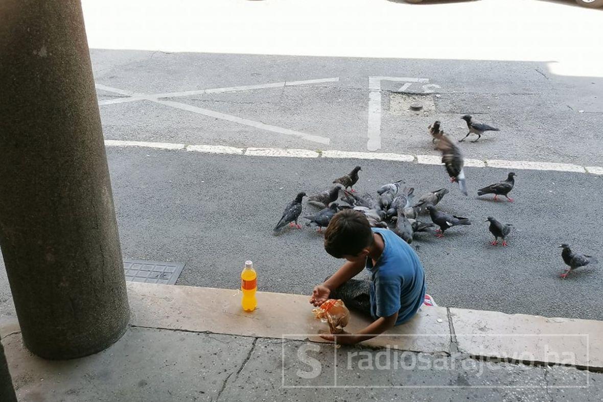 FOTO: Radiosarajevo.ba/Dječak hrani golubove 