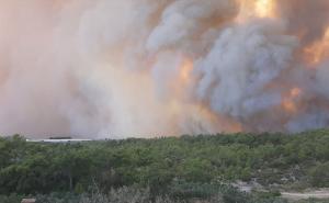 Foto: AA / Požar u Antaliji