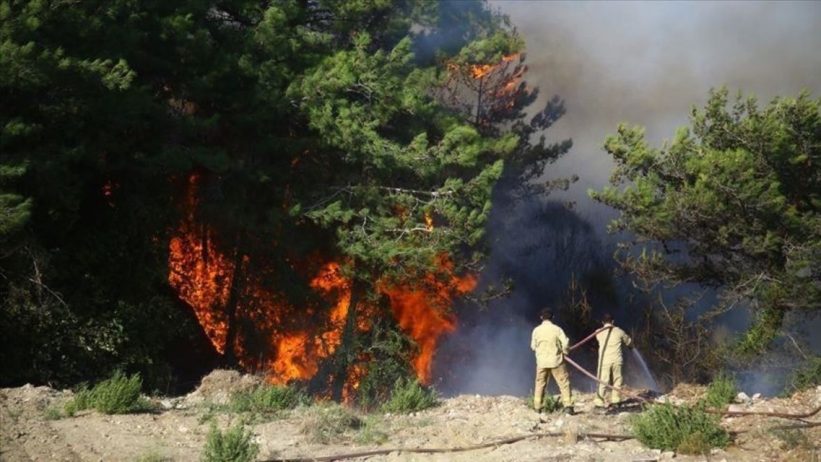 Foto: Twitter/Požari u Turskoj 