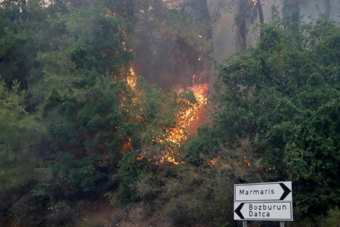 Foto: AA/Požari bjesne Turskom