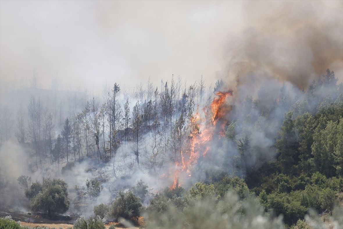 Foto: AA/Požari nastavljaju divljati turskom provincijom Antalija