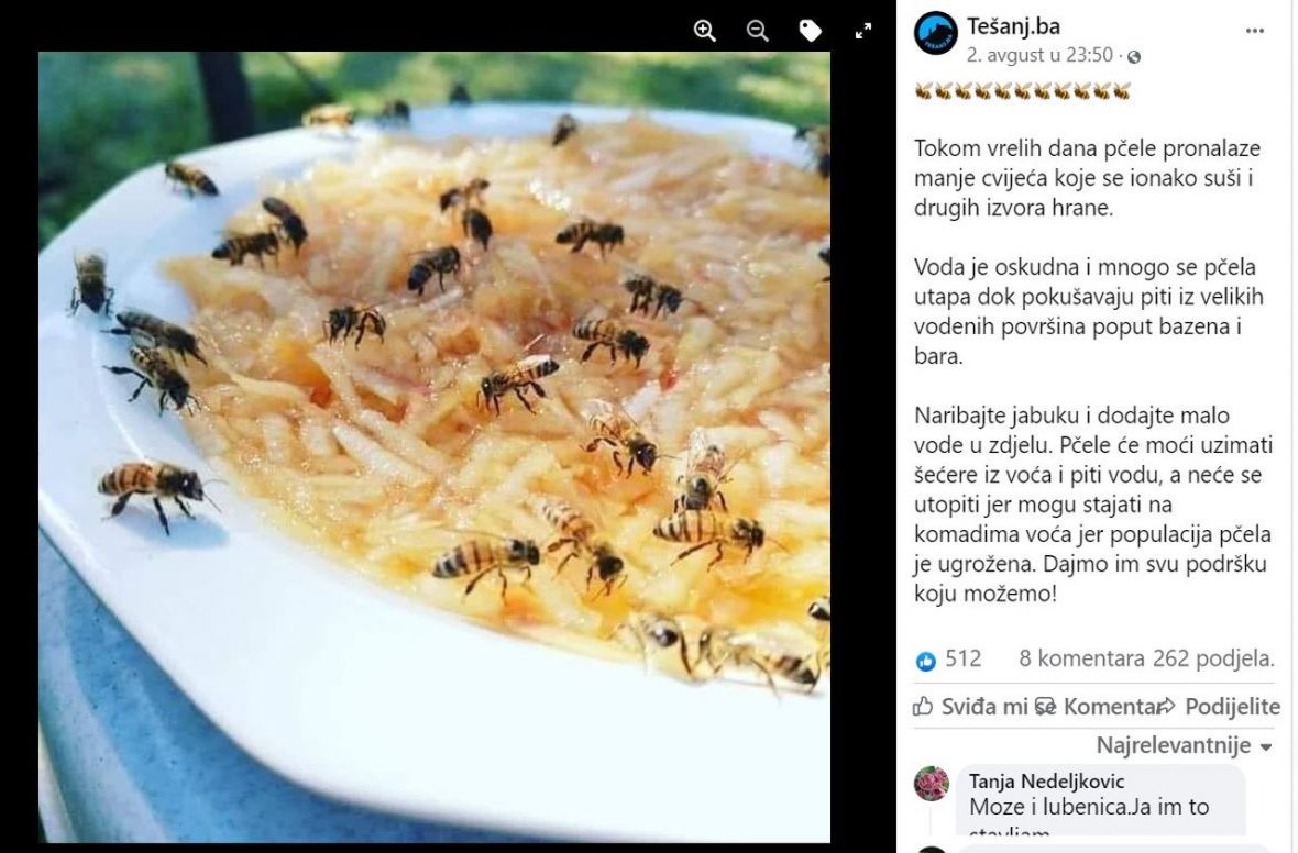 Foto: Facebook/Savjet kako pomoći pčelama