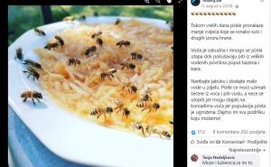 Foto: Facebook / Savjet kako pomoći pčelama