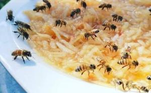 FOTO: Facebook / Savjet kako pomoći pčelama