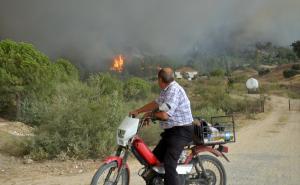 Foto: AA / Požari u provinciji Aydin