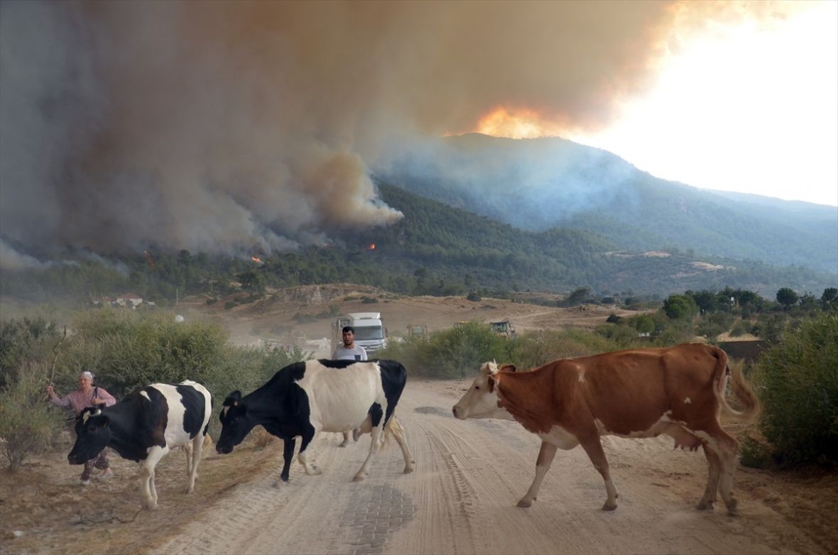 Foto: AA/Požari u provinciji Aydin
