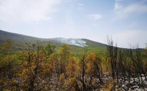 Foto: AA / Požar kod Stoca i Neuma pod kontrolom
