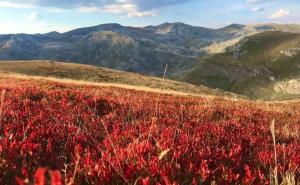 FOTO: Facebook / Jesenje prizore s bh. planine Visočice zabilježio je Zehrudin Isaković