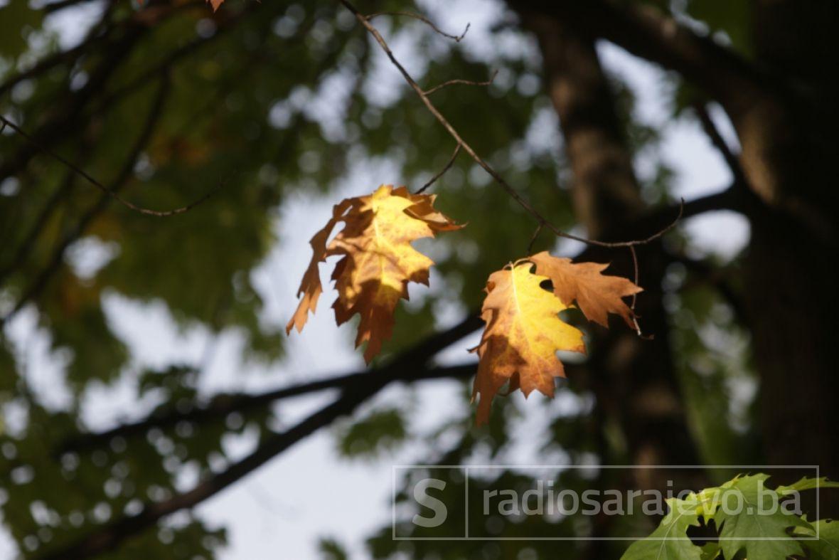Foto: Dž. K. / Radiosarajevo.ba/Jesen u Sarajevu 