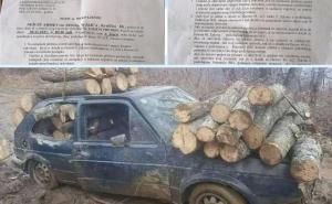 Foto: Kolaž(Arhiva/Jajce-online / I ovo je BiH: Bosanac zbog štete šumama od 13,80 KM mora na sud  