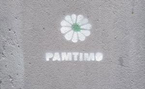 Foto: AA / Cvijet Srebrenice na fasadama zgrada u Beogradu