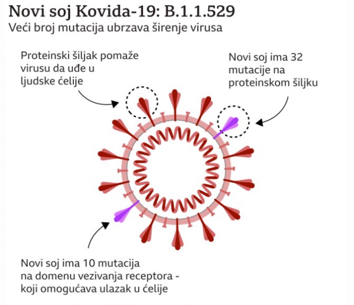 BBC/Novi soj koronavirusa - omikron