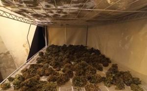 Foto: MUP KS / Pronađena i oduzeta laboratorija za uzgoj i proizvodnju opojne droge marihuane