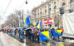 FOTO: Radiosarajevo.ba / Protesti za BiH u Beču (arhiv)