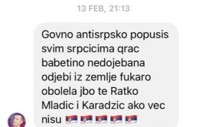 Foto: Facebook/ Aida Ćorović / Sramne poruke koje je aktivistica dobila
