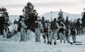 Foto: SWNS / Američki marinci spremaju se za pješačenje u Setermoenu, Norveška