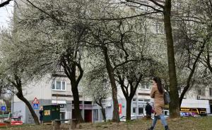 Foto: A. K. /Radiosarajevo.ba / Šetnja kroz Alipašino Polje