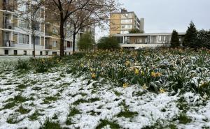 FOTO: AA / Aprilski snijeg mnoge iznenadio 