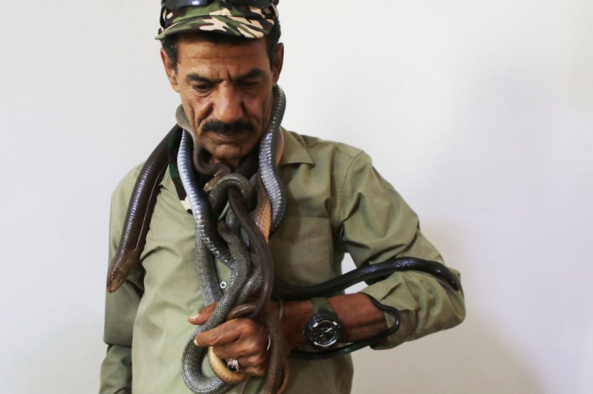 Jordanas u kući sa zmijama - undefined