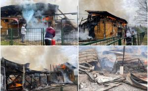 Foto: Sodalive.ba / Požar na farmi "Milo Selo"