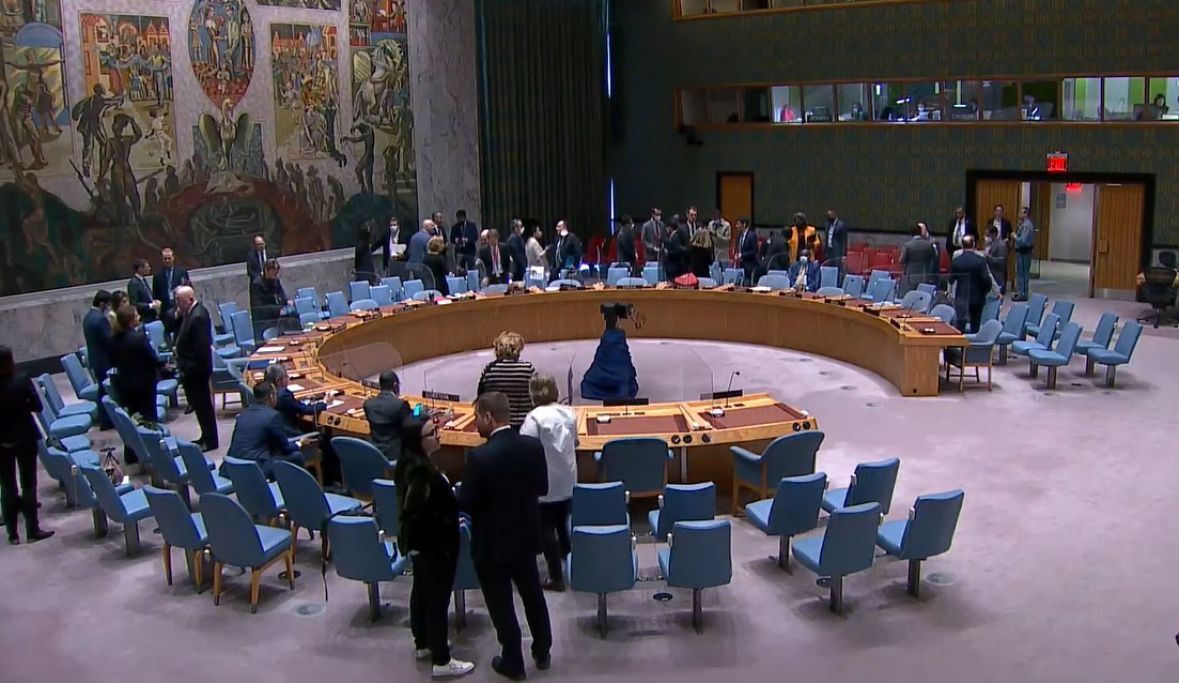 Foto: Printscreen/Sjednica Vijeća sigurnosti UN-a