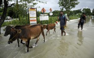 FOTO: AA / Poplave u u Assamu i Meghalayi