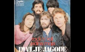 Foto: Printscreen / Divlje jagode (You Tube @ ZZTopKotor)