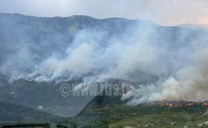 Foto: RTRS / Požar kod Trebinja