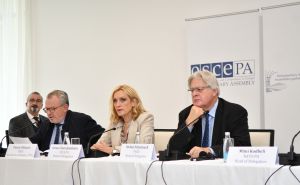 Foto: N. G. / Radiosarajevo.ba / Konferencija za medije u OSCE-u