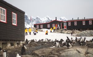 Foto: Twitter  / Žene će voditi računa i o pingvinima