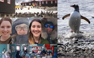 Foto: Twitter  / Četiri žene će raditi u pošti na Antarktiku