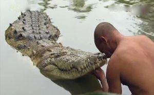 Foto: Twitter  / U Indiji sahranjen krokodil