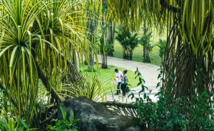 FOTO: AA / Botanički vrt Perdana