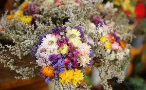 Foto: Dž.K./Radiosarajevo / Raznovrsna ponuda cvijeća