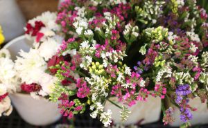 Foto: Dž.K./Radiosarajevo / Raznovrsna ponuda cvijeća