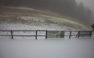 Foto: Printscreen / Snijeg na Kopaoniku